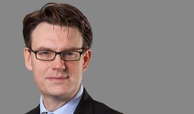 Thomas Grant QC,  Visiting Professor of Politics and Law