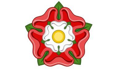 the tudor rose on a white background