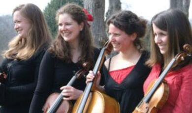 The Alea String Quartet