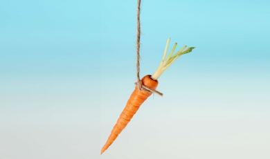 a carrot hanging on a string
