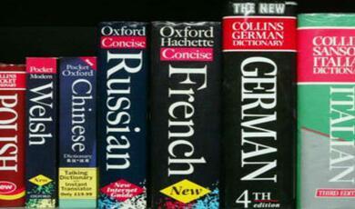 The spines of a Polish, Welsh, Chinese, Russian, French, German and Italian Dictionary
