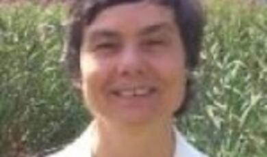 professor-caroline-series