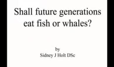 title slide