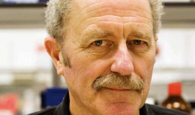 Professor Peter McGuffin CBE FMedSci