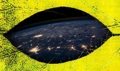 Earth at night with city lights, viewed through a leaf-shaped opening on a yellow, textured background