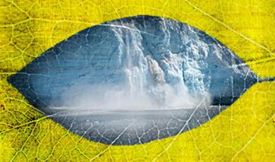 A glacier calving into water, viewed through a leaf-shaped opening on a yellow, textured background