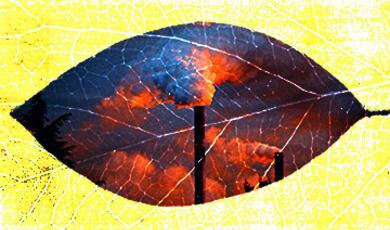 A leaf superimposed with industrial smokestacks emitting smoke