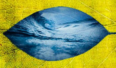 waves within leaf shape
