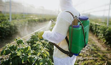 person in hazmat suit spraying crops