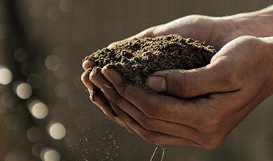 a pair of hands full of soil