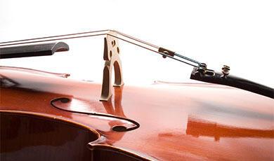 a close up of a violin