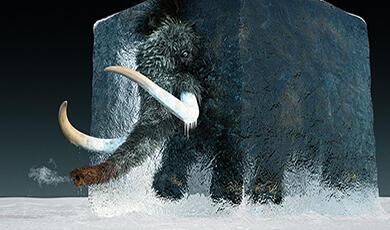 Woolly mammoth emerging from a giant block of ice