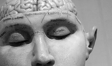 black and white photograph of a model of a head with the brain exposed