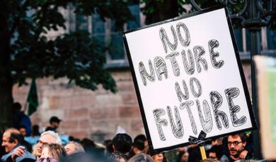 a placard at a protest which reads 'No Nature No Future'