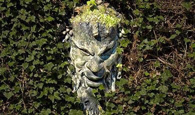 Stone face leering out of hedge