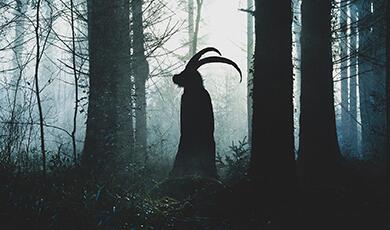 a horned mythical goal creature stands in the woods