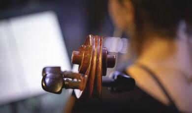 Close-up of the wooden scroll and tuning pegs of a cello, with a musician and a music stand softly blurred in the background