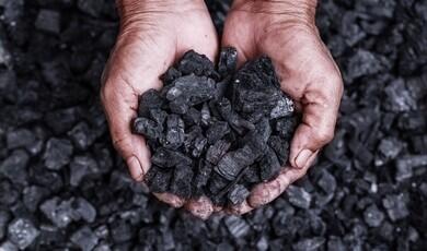 A close-up of dark charcoal held in human hands