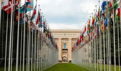 A long alley of towering silver flagpoles lined up on a vibrant green lawn, displaying a dense arrangement of colourful international flags. The perspective draws the eye down the symmetrical path toward the Palais des Nations building in Geneva, Switzerland, featuring the words "UNITED NATIONS" and "NATIONS UNIES" across its facade