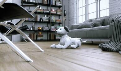A white and black robotic companion dog lies on a light-coloured wooden floor in the centre of a modern, minimalist living room