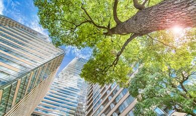 A low-angle, wide-shot looking up at modern skyscrapers and lush green trees against a blue sky with soft white clouds