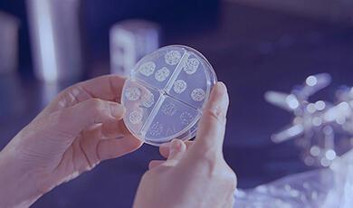 Person holding petri dish