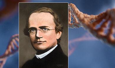 Image of Mendel on top of an image of a DNA strand