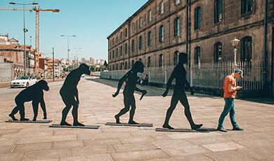 Evolution sculpture