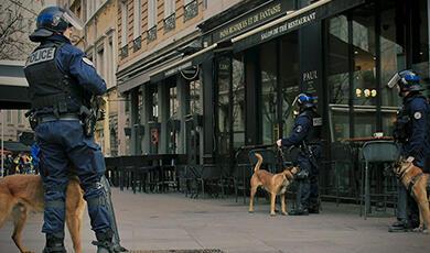 Police with dogs on street