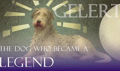 Book cover illustration of Gelert, a scruffy, long-haired dog resting under a moonlit sky, with the text "Gelert: The Dog Who Became a Legend."