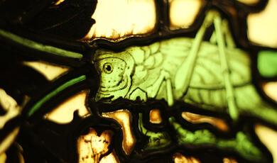 close up of grasshopper in Gresham College window