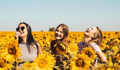 Girls laughing in field of sunflowers