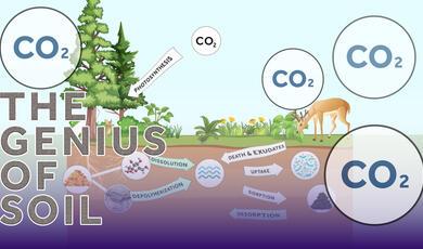 An educational diagram titled "THE GENIUS OF SOIL" illustrates the carbon cycle and various underground soil processes