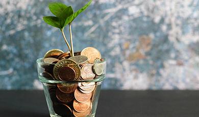 Plant in pot with coins