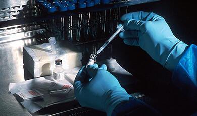 Gloved hands filling syringe