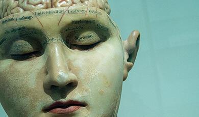 Sculpture of head with brain exposed