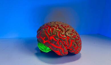 glowing red and green model of a brain