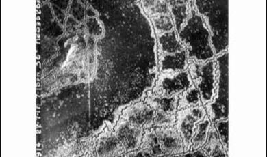 Black and white aerial photograph of front-line trenches during WW1